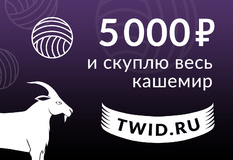 Подарочный сертификат на 5000 ₽